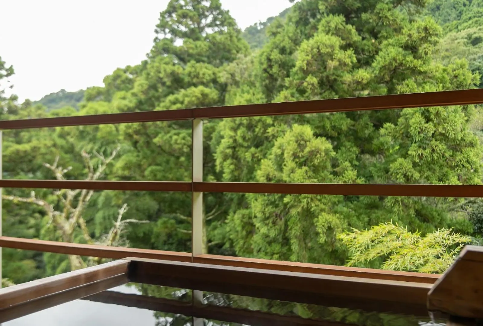 Kinnotake Tonosawa (Adults Only) Hakone 4*,